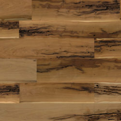Design Almond 503 Design Almond 503