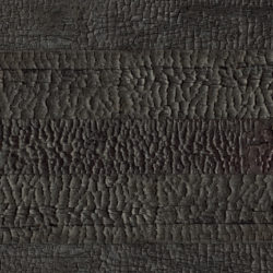 Design Burnt Wood 19 Design Burnt Wood 19