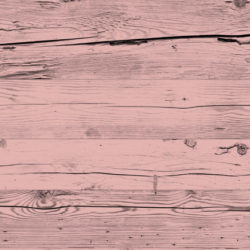 Design Rose 604 Design Rose 604
