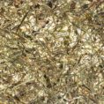 csm_organoid_pure___wildspitze_4ce2854bf7 csm_organoid_pure___wildspitze_4ce2854bf7